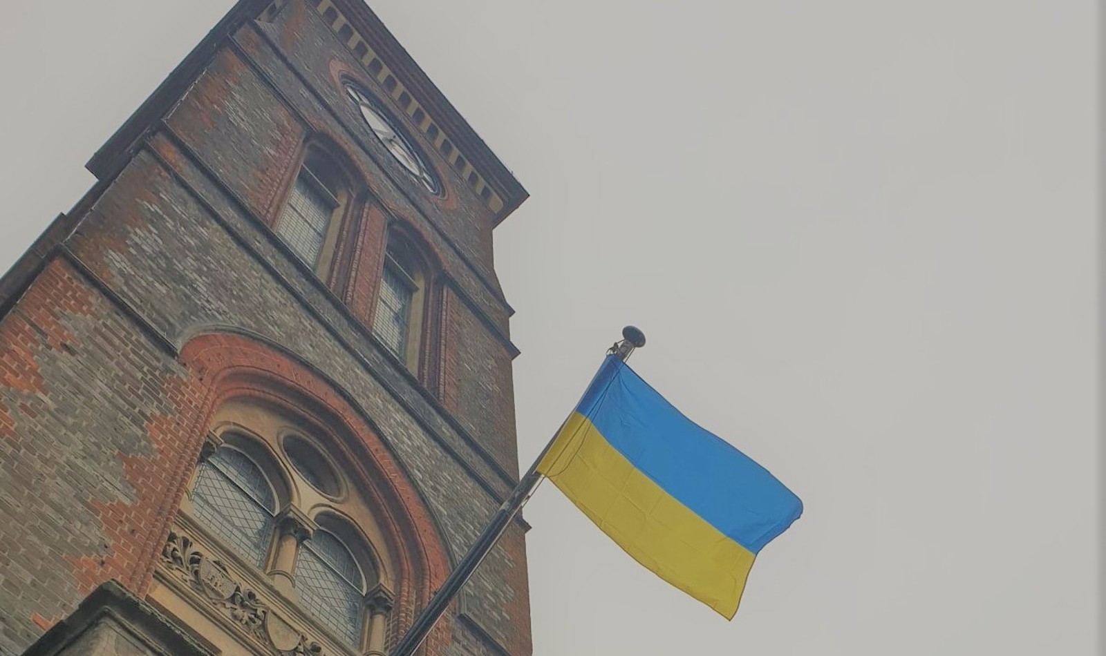 Ukraine Flag Cropped